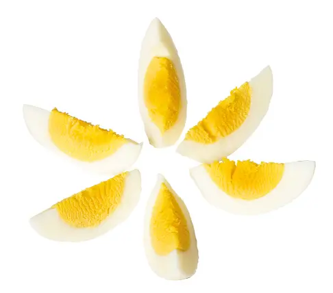 Capture d'écran 2026-02-13 083351.webp