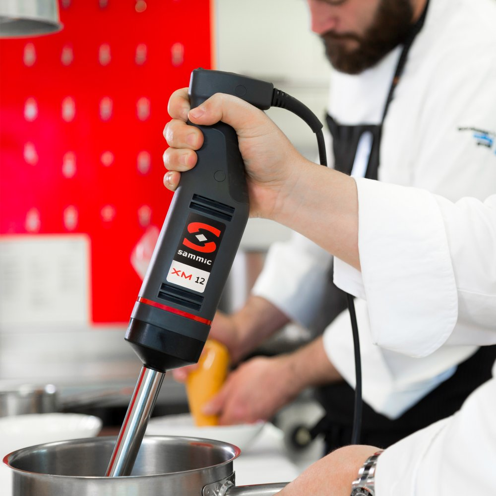 MIXEUR XM-12 230/50-60/1