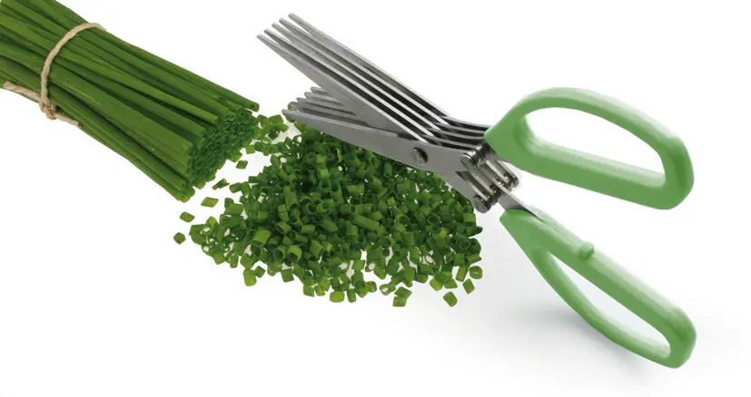 CISEAUX 5 LAMES INOX A HERBE