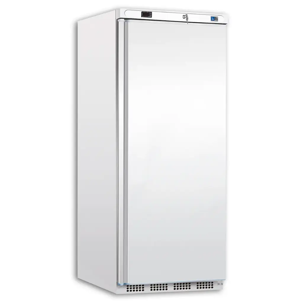 PL 601 NT - Armoire Congélation 